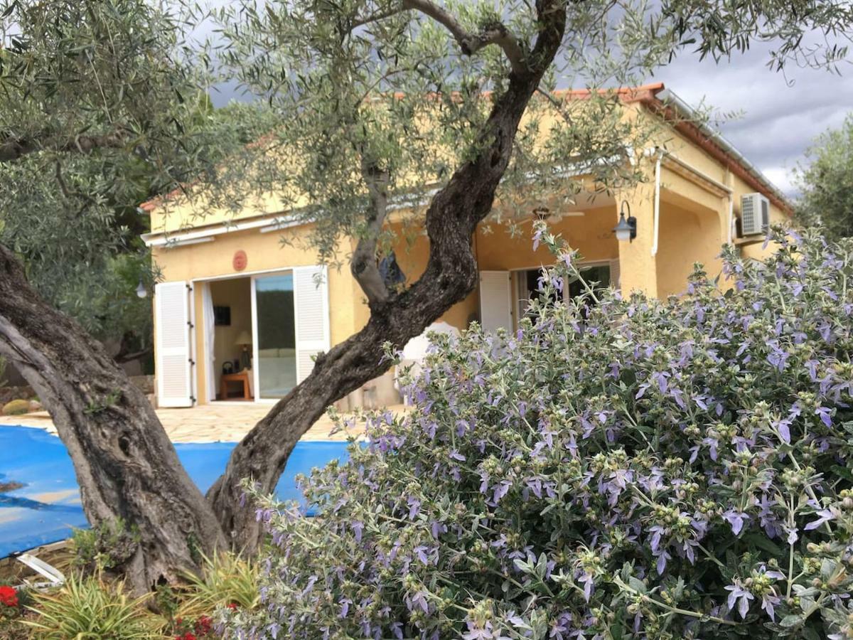 La Inopia Villa L'Ampolla Dış mekan fotoğraf